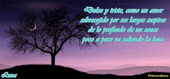LA LUNA Y SUS SENTIMIENTOS
