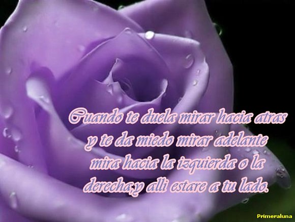 GRACIAS POR TU AMISTAD
