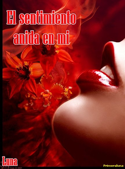 ¿QUE EL EL AMOR?