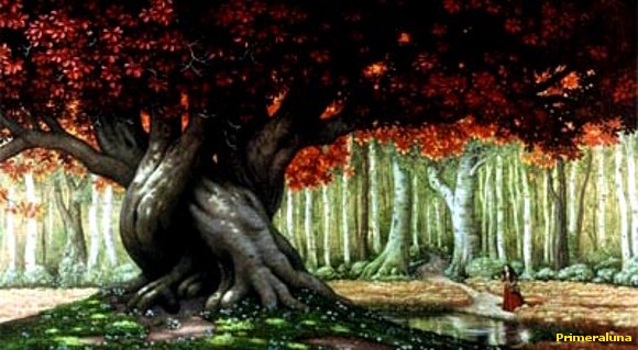 EL ESPIRITU DEL ARBOL