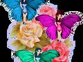 HADAS DE LA PRIMAVERA
