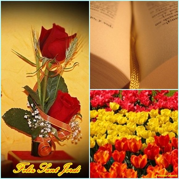 FELIZ DIA DE SANT JORDI