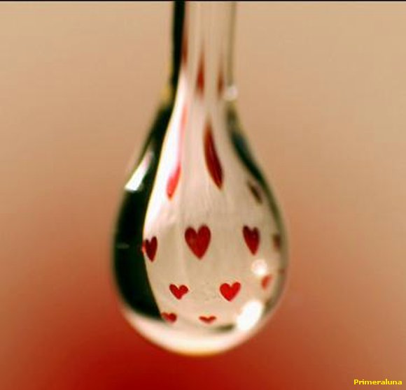 GOTITAS DE AMOR