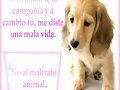 DIA DE LOS GALGOS