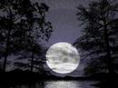 LA LUNA
