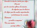 REGALO DE NOEMI
