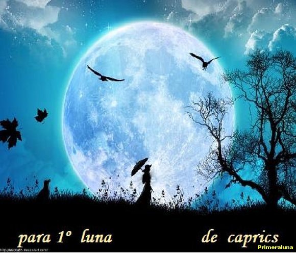 REGALO DE CAPRICS
