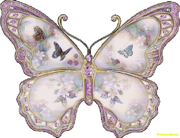 LA LEYENDA DE LA MARIPOSA Y LA ESTRELLA