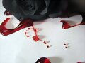 EL AMOR LA ILUSION MA LINDA Y LA REALIDA MA CRUEL