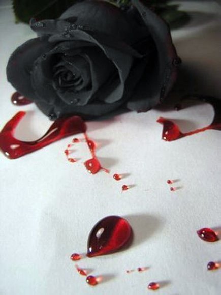 EL AMOR LA ILUSION MA LINDA Y LA REALIDA MA CRUEL