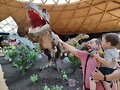 Tarde entre Dinos