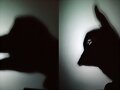 Sombras