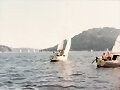 En plena Regata !!!