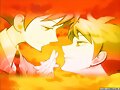 ouran host club