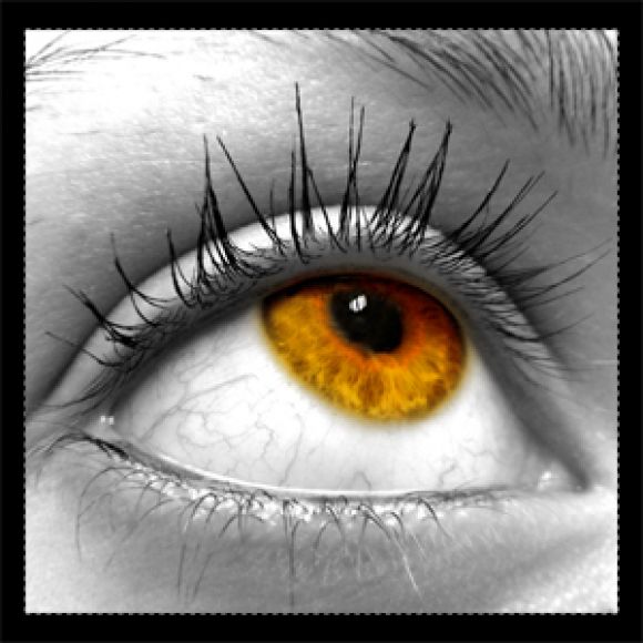 ojo