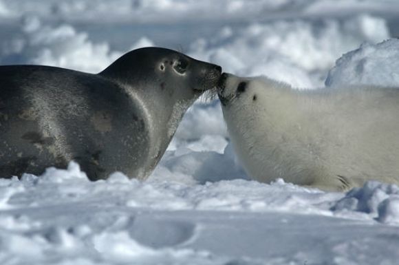 que besito...