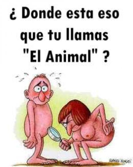 y el animal ¿