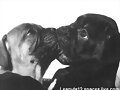 Q besitoooooo
