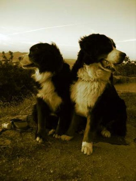 Senna y Duna