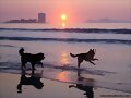 Anouk y Kiara, felices en la playa...
