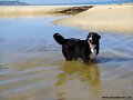 Atenta en el agua...