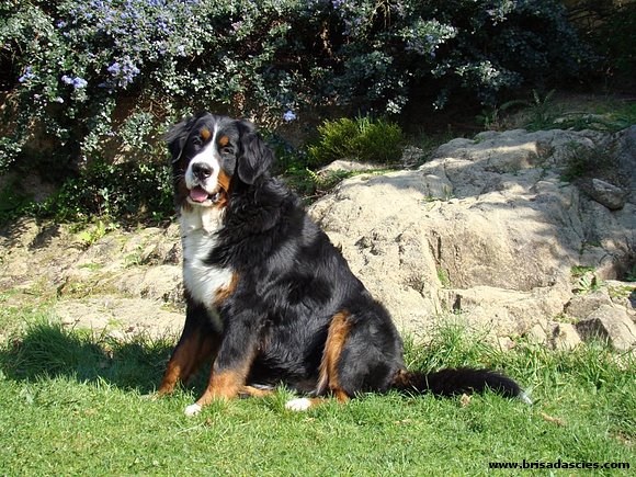 Anouk con 18 meses