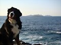 Anouk con las Islas Cies al fondo...