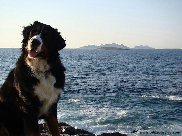 Anouk con las Islas Cies al fondo...