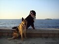 Anouk y Kiara con las Islas Cies al fondo...