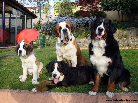 La tropa al completo!! Pero que guapos!!!