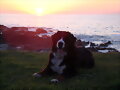 Un paseo al atardecer...