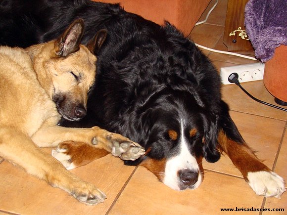 Mis dos chicas...Kiara y Anouk.