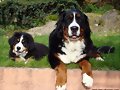 Anouk y Brisa