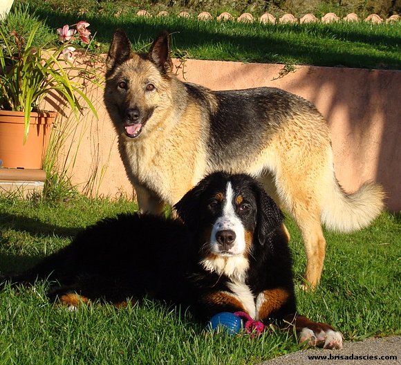 Kiara y Brisa...