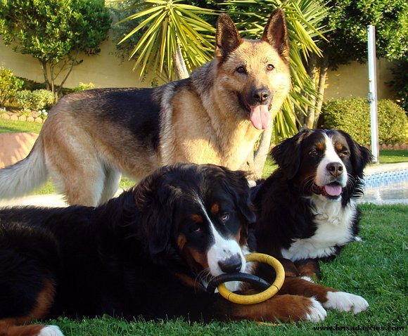 Las tres bellezones!