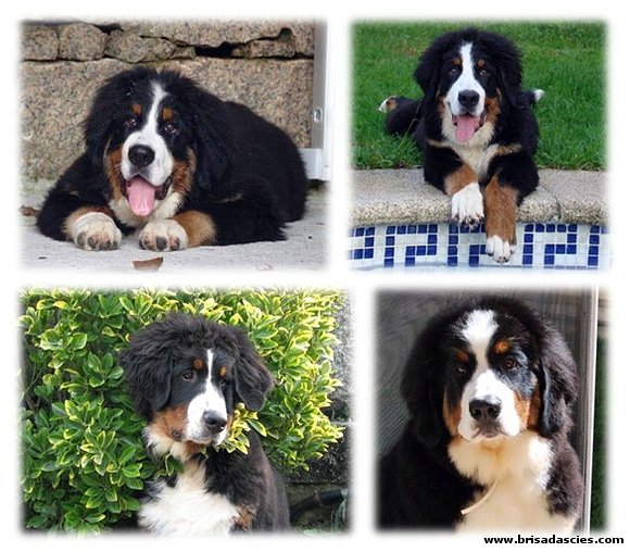 ¡¡¡ FELIZ 5º CUMPLEMES "PEQUES" !!!