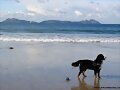 Brisa y las Islas C&iacute;es...