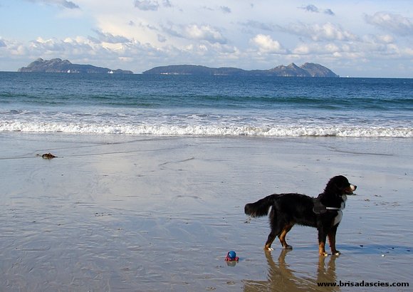 Brisa y las Islas Cíes...
