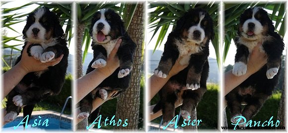 ¡¡Ya tenéis 7 meses!!