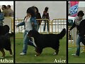 &iexcl;Mis tres campeones!