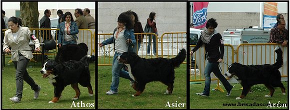 ¡Mis tres campeones!