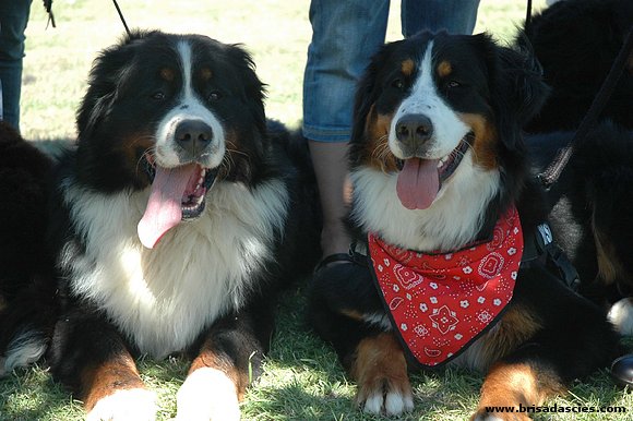 Akimo y Brisa