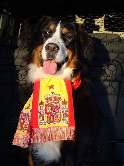 ¡¡¡Que viiiivaaaa España!!!