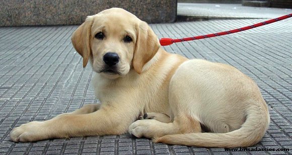 Jubacan Lume con casi 3 meses