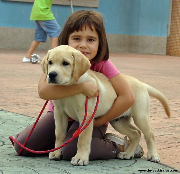 Los peques de la casa juntos...