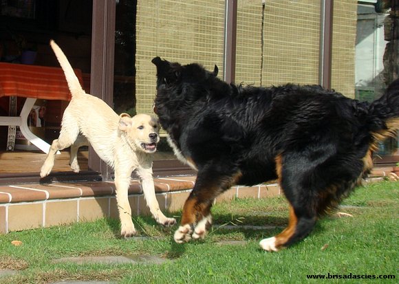 Lume y Anouk???