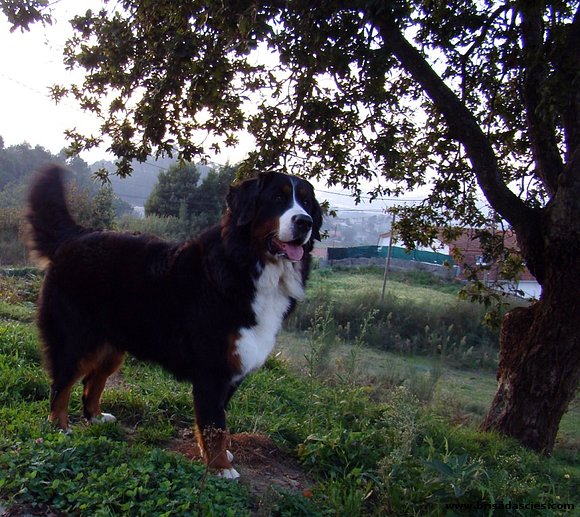 La "peque", Anouk  con 13 meses...
