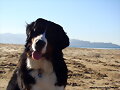 Anouk... &iquest;Quieres com&eacute;??