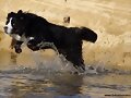 Duna salto!!!