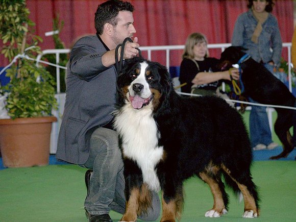 Dante en la expo de Jerez